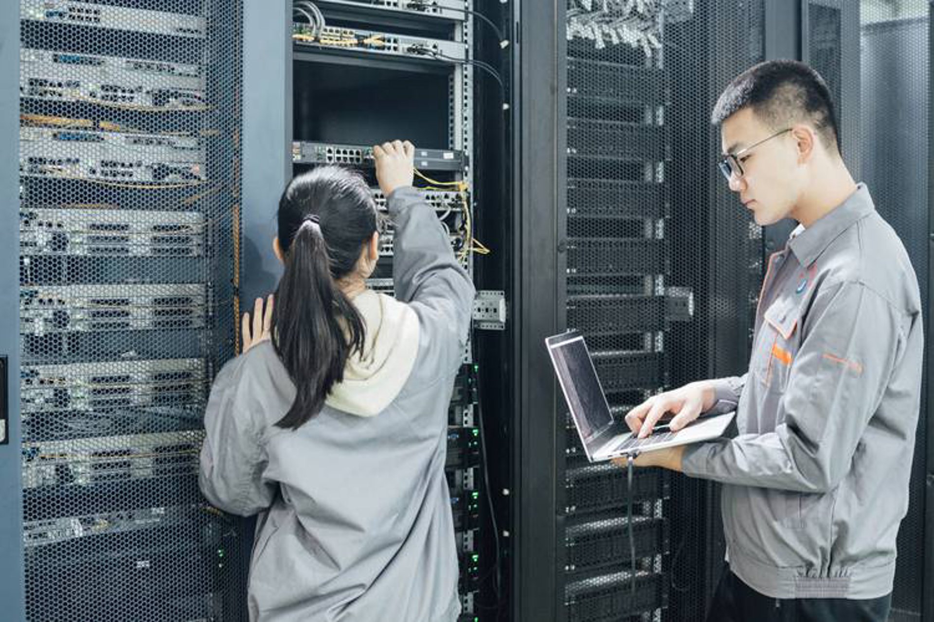 GoFan站群程序选购指南:搭建高效在线社区